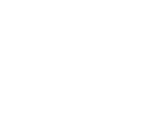 Favoritos